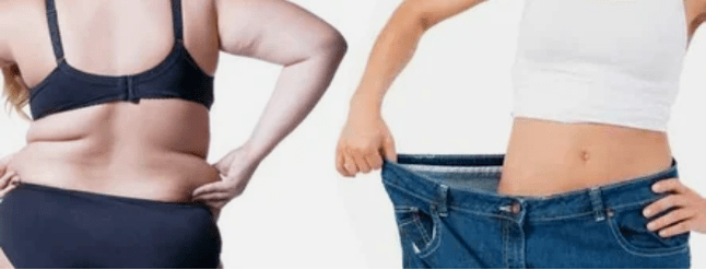 Principios Menú Dieta amada